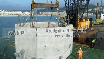 CODIPRO MEGA DSS+旋轉吊環使用案例圖二 CODIPRO MEGA DSS+旋轉吊環使用案例圖二